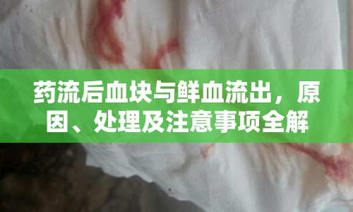 藥流后血塊與鮮血流出，原因、處理及注意事項全解析