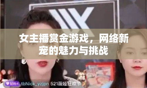 女主播賞金游戲，網(wǎng)絡新寵的魅力與挑戰(zhàn)