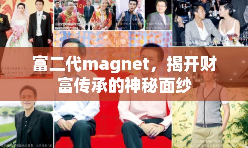 富二代magnet，揭開財(cái)富傳承的神秘面紗