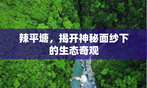 辣平塘，揭開神秘面紗下的生態(tài)奇觀