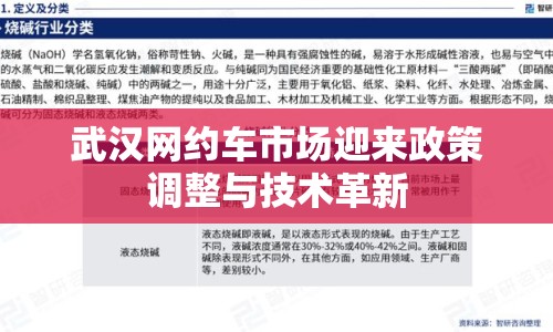 武漢網(wǎng)約車市場迎來政策調(diào)整與技術(shù)革新