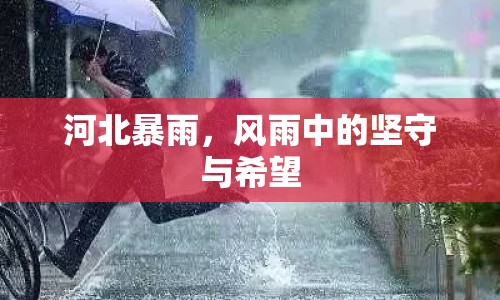 河北暴雨，風(fēng)雨中的堅守與希望