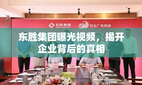 東勝集團(tuán)曝光視頻，揭開企業(yè)背后的真相