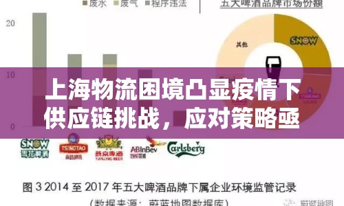 上海物流困境凸顯疫情下供應(yīng)鏈挑戰(zhàn)，應(yīng)對策略亟需實(shí)施