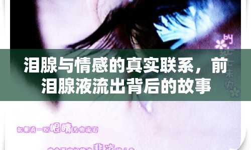 淚腺與情感的真實(shí)聯(lián)系，前淚腺液流出背后的故事