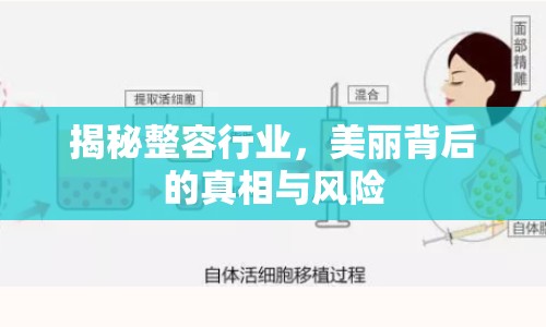 揭秘整容行業(yè)，美麗背后的真相與風(fēng)險