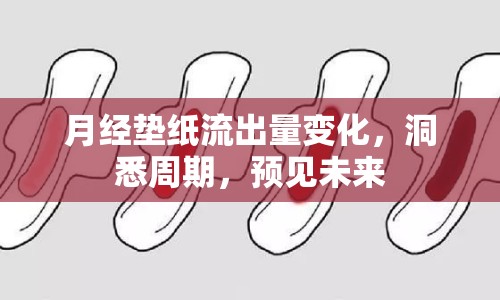月經(jīng)墊紙流出量變化，洞悉周期，預(yù)見未來