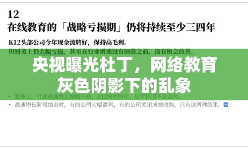 央視曝光杜丁，網絡教育灰色陰影下的亂象
