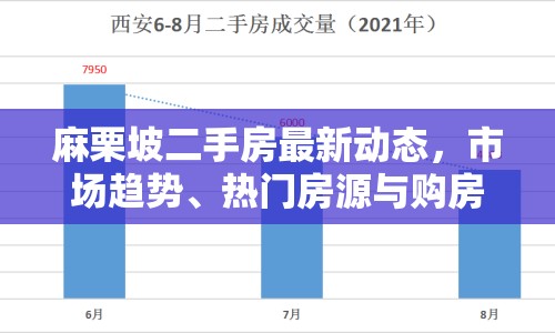 麻栗坡二手房最新動態(tài)，市場趨勢、熱門房源與購房指南