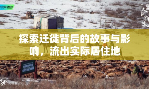 探索遷徙背后的故事與影響，流出實際居住地