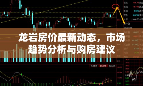 龍巖房價最新動態(tài)，市場趨勢分析與購房建議