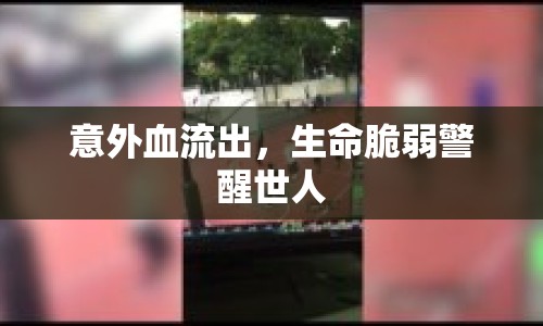 意外血流出，生命脆弱警醒世人