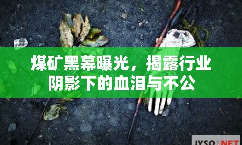 煤礦黑幕曝光，揭露行業(yè)陰影下的血淚與不公