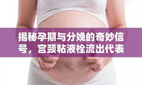 揭秘孕期與分娩的奇妙信號(hào)，宮頸粘液栓流出代表什么？