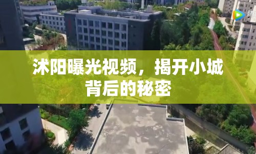 沭陽曝光視頻，揭開小城背后的秘密