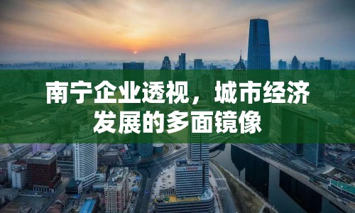 南寧企業(yè)透視，城市經(jīng)濟發(fā)展的多面鏡像