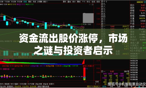 資金流出股價漲停，市場之謎與投資者啟示