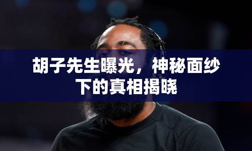 胡子先生曝光，神秘面紗下的真相揭曉