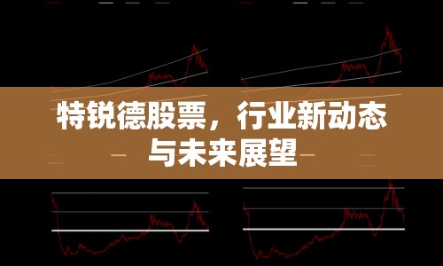 特銳德股票，行業(yè)新動態(tài)與未來展望