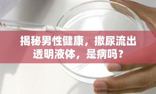 揭秘男性健康，撒尿流出透明液體，是病嗎？