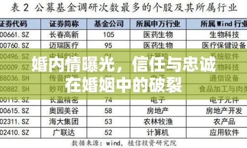 婚內(nèi)情曝光，信任與忠誠(chéng)在婚姻中的破裂