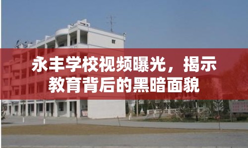 永豐學(xué)校視頻曝光，揭示教育背后的黑暗面貌