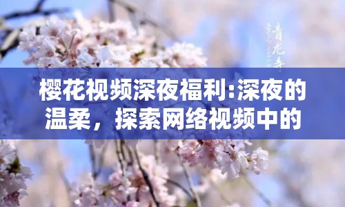 櫻花視頻深夜福利:深夜的溫柔，探索網(wǎng)絡(luò)視頻中的情感共鳴