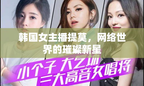 韓國(guó)女主播提莫，網(wǎng)絡(luò)世界的璀璨新星