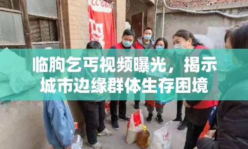 臨朐乞丐視頻曝光，揭示城市邊緣群體生存困境
