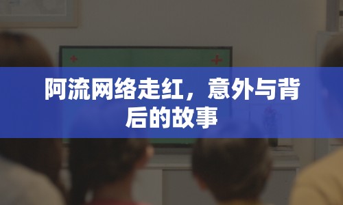 阿流網(wǎng)絡(luò)走紅，意外與背后的故事