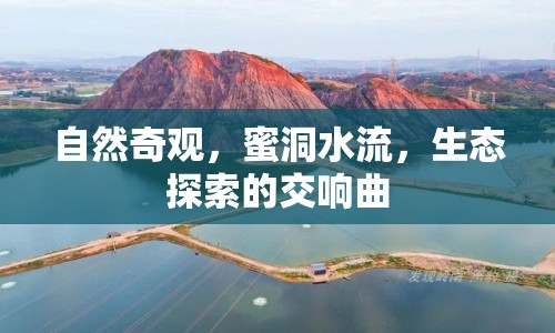 自然奇觀，蜜洞水流，生態(tài)探索的交響曲
