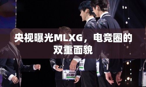央視曝光MLXG，電競(jìng)?cè)Φ碾p重面貌