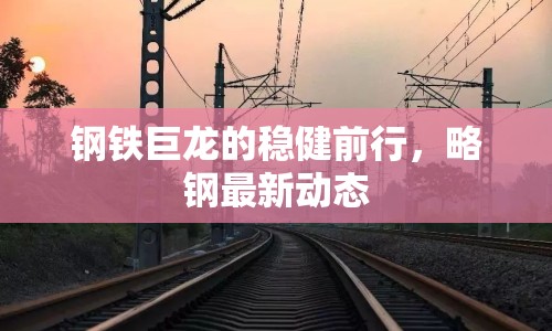 鋼鐵巨龍的穩(wěn)健前行，略鋼最新動態(tài)