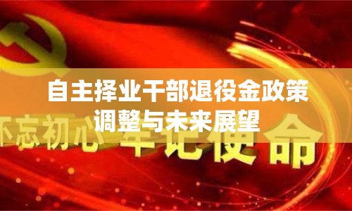 自主擇業(yè)干部退役金政策調(diào)整與未來展望