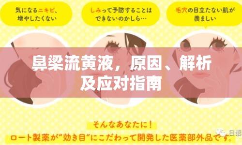 鼻梁流黃液，原因、解析及應(yīng)對(duì)指南