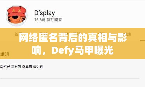 網(wǎng)絡(luò)匿名背后的真相與影響，Defy馬甲曝光