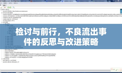 檢討與前行，不良流出事件的反思與改進(jìn)策略