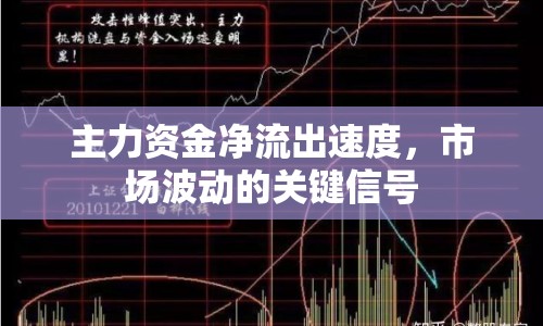 主力資金凈流出速度，市場波動的關(guān)鍵信號