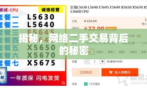 揭秘，網(wǎng)絡(luò)二手交易背后的秘密