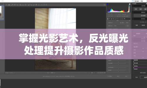 掌握光影藝術(shù)，反光曝光處理提升攝影作品質(zhì)感
