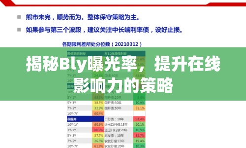 揭秘Bly曝光率，提升在線影響力的策略