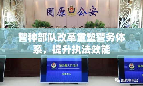 警種部隊(duì)改革重塑警務(wù)體系，提升執(zhí)法效能