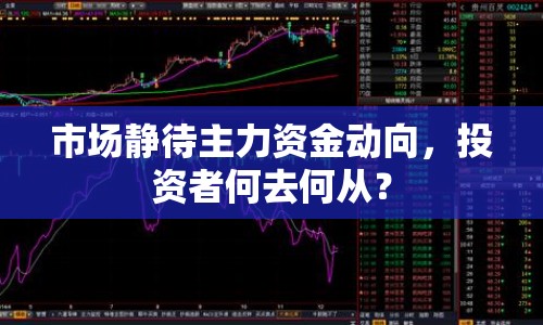 市場靜待主力資金動向，投資者何去何從？