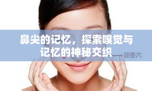 鼻尖的記憶，探索嗅覺與記憶的神秘交織