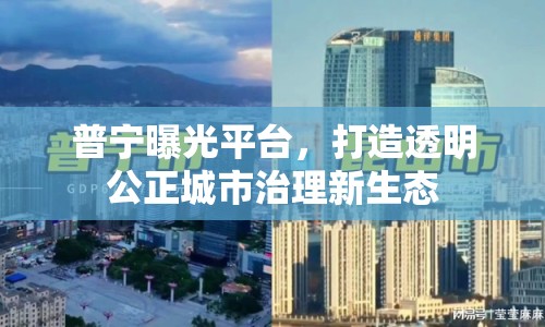 普寧曝光平臺，打造透明公正城市治理新生態(tài)