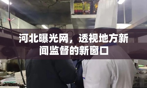 河北曝光網(wǎng)，透視地方新聞監(jiān)督的新窗口
