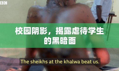 校園陰影，揭露虐待學生的黑暗面