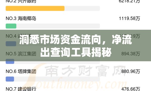 洞悉市場(chǎng)資金流向，凈流出查詢工具揭秘