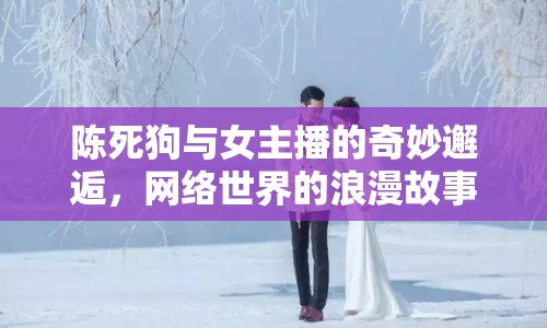 陳死狗與女主播的奇妙邂逅，網(wǎng)絡(luò)世界的浪漫故事