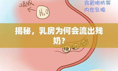 揭秘，乳房為何會(huì)流出殘奶？